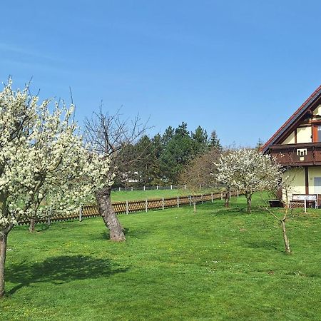 Ferienwohnung Zur Saaleaue Wettin Екстер'єр фото