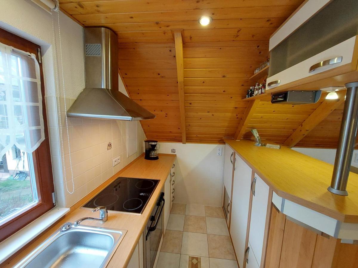 Ferienwohnung Zur Saaleaue Wettin Екстер'єр фото