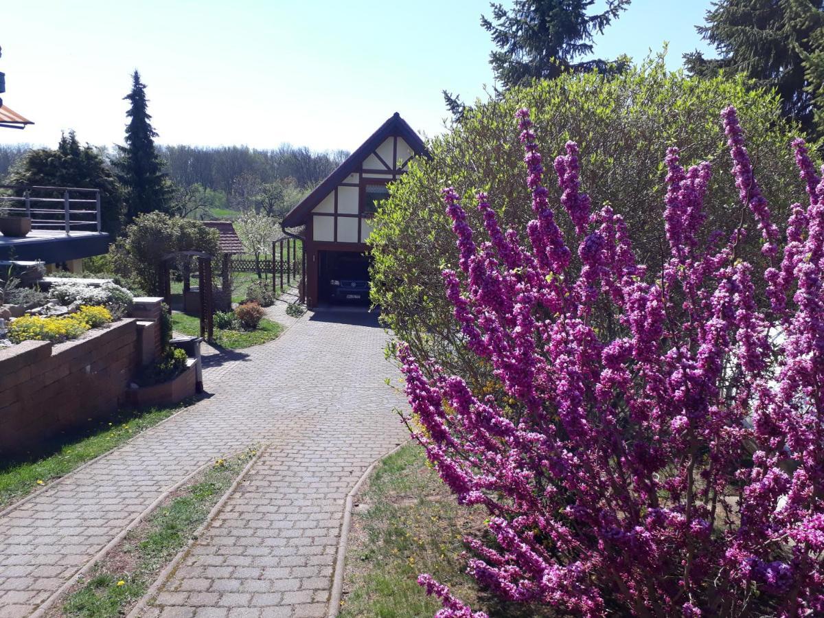 Ferienwohnung Zur Saaleaue Wettin Екстер'єр фото