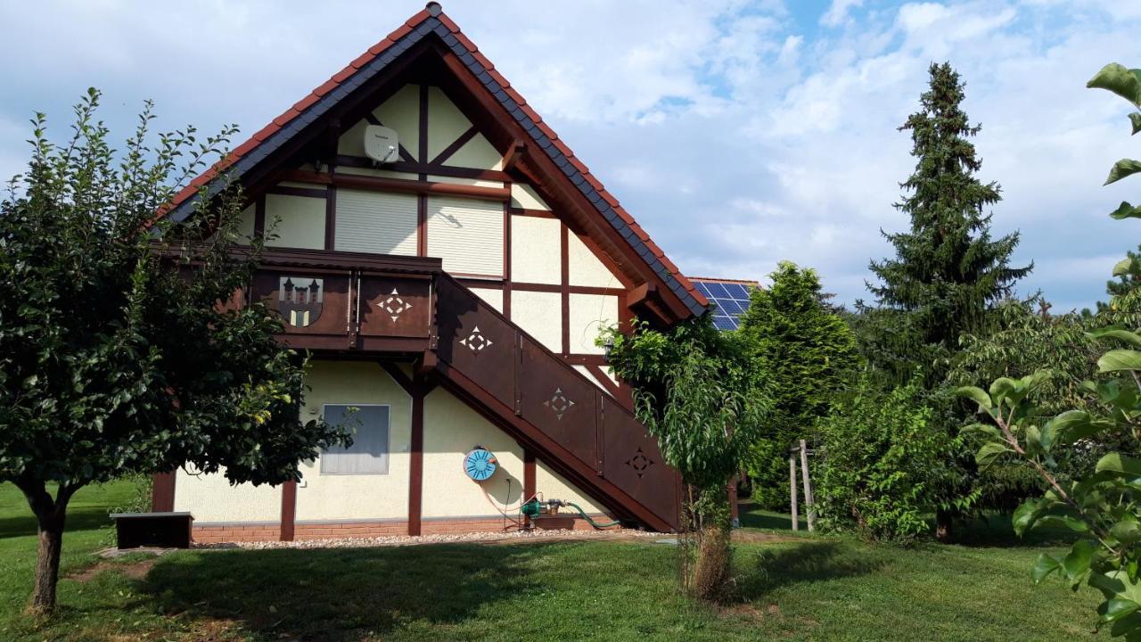 Ferienwohnung Zur Saaleaue Wettin Екстер'єр фото