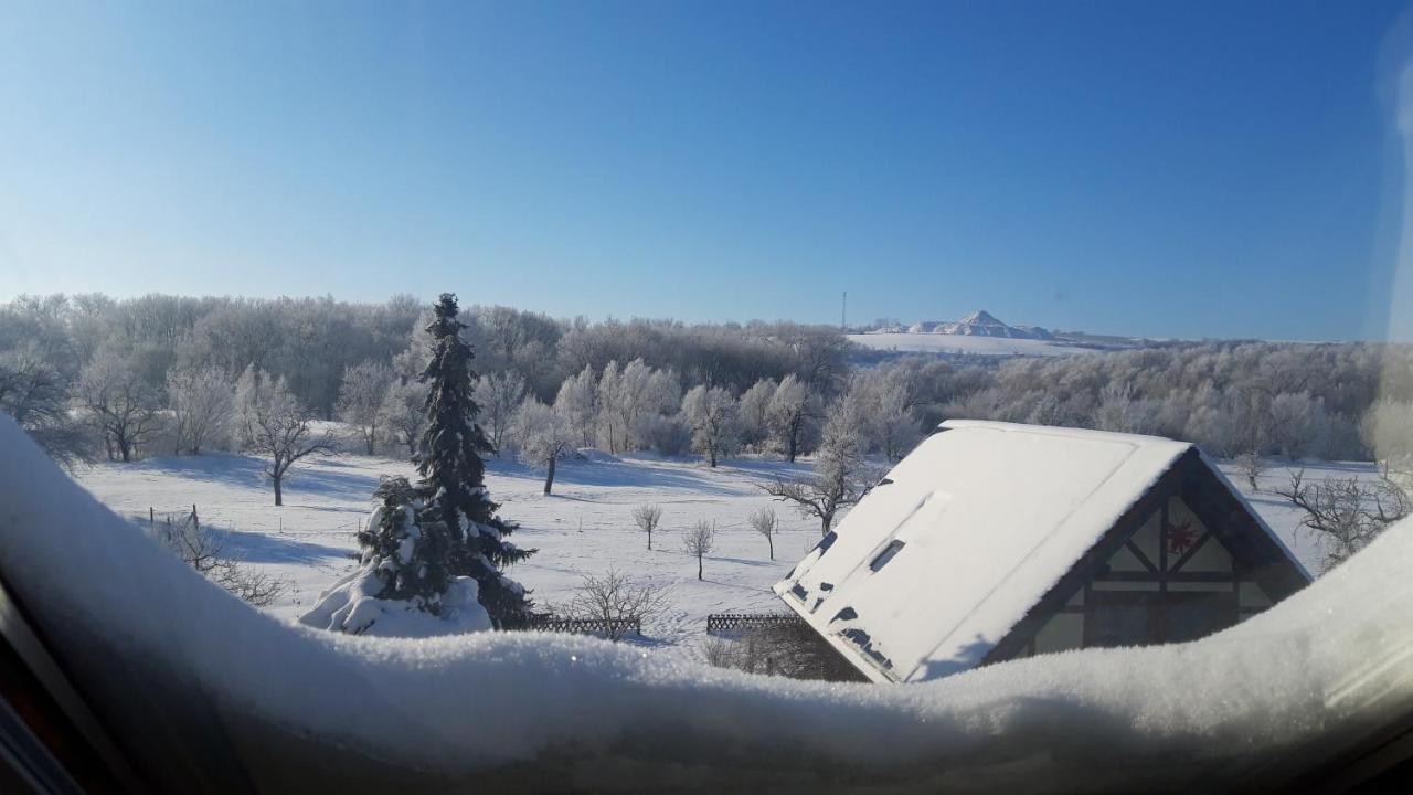 Ferienwohnung Zur Saaleaue Wettin Екстер'єр фото
